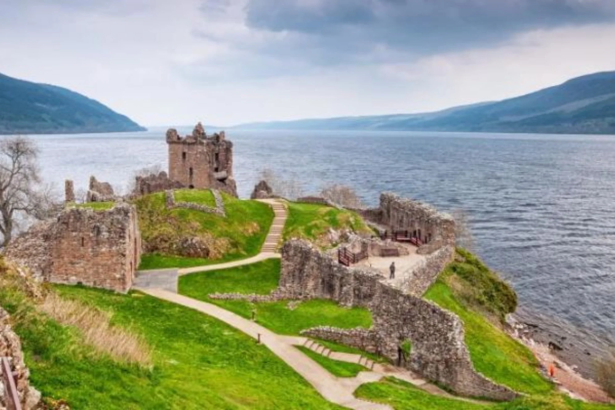 hairy coo tour edinburgh