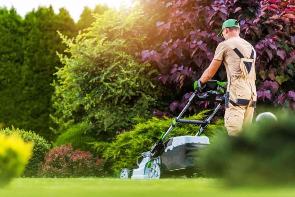 Lawn Services in Omaha, NE
